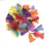 GLOREX 6 3822 300 - Plumas decorativas (cortadas, 8-14 cm, 14 g), multicolor