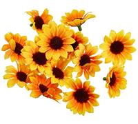 Glorex GmbH GLOREX 6 3803 593 - Girasol Flores, 15 Unidades, Aprox. 30 - 35 mm