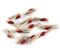 GLOREX Mariquita Mini Pinzas de la Ropa Madera Multicolor, 11 x 5,6 x 1 cm, 12 Unidades