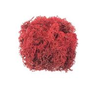 Glorex Musgo islandés rojo 50 g