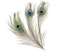 GLOREX Plumas, Natural, 25 cm