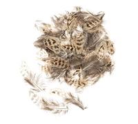 GLOREX Plumas, Natural, 5-12 cm
