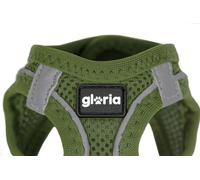 Gloria Arnés Vestido Air Mesh Trek Star Para Perros Verde - Talla XS