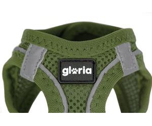 Gloria Arnés Vestido Air Mesh Trek Star Para Perros Verde - Talla XXS