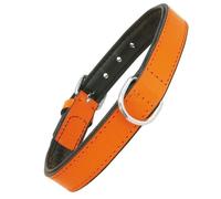 Gloria Collar de Piel Acolchado para Perro 50 cm - Naranja