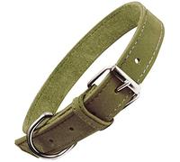 GLORIA Collar Oasis 40cm x 15mm Verde