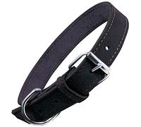 GLORIA Collar Oasis 50cm x 21mm Negro