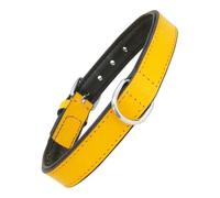 GLORIA Collar Piel Acolchado 30CM X 15MM Amarillo