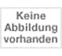 GLORIA Collar Piel Negra 2 Filas Pinchos 55CM