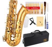 Gloria E Flat Alto Saxophone con 11reeds