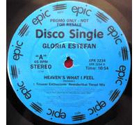 Gloria Estefan - Heaven's What I Feel - Gloria Estefan 12"