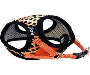 GLORIA PETRAL Leopardo S Cuello 21-29 Pecho 25-33 NARANJ