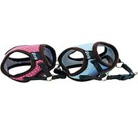 GLORIA PETRAL Puntos XS Cuello 17-22CM Pecho 20-25CM Verd