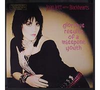 Glorious results of a misspent youth - Vinyl LP