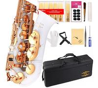 Glory - Saxofón Alto en mi bemol con 11 lengüetas, 8 almohadillas, estuche, kit de mantenimiento.