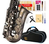 Glory - Saxofón Alto en mi bemol con 11 lengüetas, 8 almohadillas, estuche, kit de mantenimiento.
