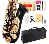 Glory - Saxofón Alto en mi bemol con 11 lengüetas, 8 almohadillas, estuche, kit de mantenimiento.