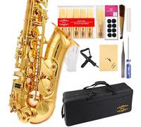 Glory - Saxofón Alto en mi bemol con 11 lengüetas, 8 almohadillas, estuche, kit de mantenimiento.