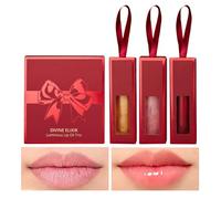 Gloss Labial - 3 Piezas Productos de Cuidado de la Piel de Larga Duración - Labial Tintado De Alto Brillo Para Mujeres | Para Esposa Chicas Novia Uso Diario Viaje Citas Trabajo Desplazamientos