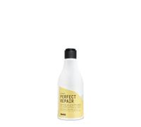 Glossco Professional, Perfect Repair Shampoo, Champú Reparador para Cabellos Dañados o Porosos, Sin Siliconas y Parabenos, Producto Vegano, 250 ml