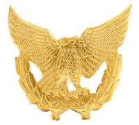 GLSTOY Insignia de Águila de Aleación de Zinc para Ropa, Pin de Solapa Metálico Decorativo, Accesorio de Uniforme de Seguridad, Durable y Resistente para Uso Profesional