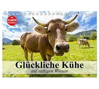 Glückliche Kühe auf saftigen Wiesen (Tischkalender 2026 DIN A5 quer), CALVENDO Monatskalender: Kühe, die das Leben genießen dürfen