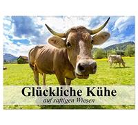 Glückliche Kühe auf saftigen Wiesen (Wandkalender 2026 DIN A2 quer), CALVENDO Monatskalender: Kühe, die das Leben genießen dürfen