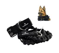 Glückpet Collar y Correa para Perro Reflectante con Enganche para Coche Talla L Glückpet