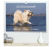 Glücksmomente - Unterwegs mit meinem Islandhund (hochwertiger Premium Wandkalender 2026 DIN A2 quer), Kunstdruck in Hochglanz: Die Lebensfreude meines Islandhundes ist ansteckend.