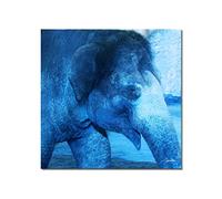 Glücksvilla - Mein Freund der Elefant 1 - (Lienzo decorativo de 5 cm, 50 x 50 cm) de DE - Impresión XXL decorativa de pared cuadrada - Naturaleza África salvaje animal