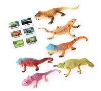 GMBYLBY De 6 Modelos de Animales de Reptiles de realistas para niños, Juguetes educativos y Kits de educación en hogar para Aprender Ciencias