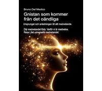 Gnistan som kommer från det oändliga. Ursprunget och anledningen till allt medvetande.: Där medvetandet föds. Varför vi är medvetna. Resa i det ... Publikationer av Bruno Del Medico på svenska)