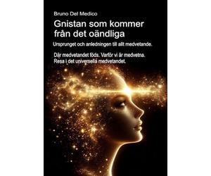 Gnistan som kommer från det oändliga. Ursprunget och anledningen till allt medvetande.: Där medvetandet föds. Varför vi är medvetna. Resa i det ... Publikationer av Bruno Del Medico på svenska)