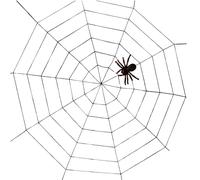 GNT ROPE WEB