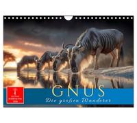 Gnus - die großen Wanderer (Wandkalender 2026 DIN A4 quer), CALVENDO Monatskalender: Afrikas Wildnis - Naturgewalt auf vier Hufen.
