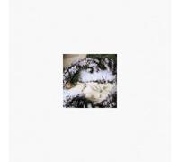 Go Gently Into The Night