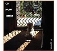 Go Get Mum - Ok Now What [Import Belge]