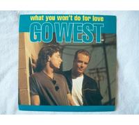 Go West - What You Won't Do For Love - Go West 7" 45