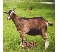 Goat Calendar 2026: 14-Month Organizer from Nov 2025 to Dec 2026 | Perfect for Home, Office, School & Family Scheduling, For Men , Women , Girls , Boys