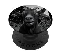 Goat Meme Country Humor Farm Chaos Scene Broken Barnyard PopSockets PopGrip Adhesivo