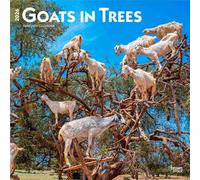 Goats in Trees - Ziegen in Bäumen 2026 - 16-Monatskalender: Original BrownTrout-Kalender [Mehrsprachig] [Kalender]