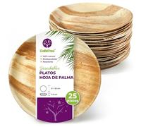 GoBeTree Platos Desechables de Hoja de Palma 25 Platos Redondos de 25 cm. Vajilla para barbacoas, picnic y Fiesta de cumpleaños, Similar al bambú, más fuerte que platos de papel