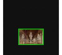 GOBLYN - Stray [Vinilo]