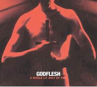 Godflesh - A World Lit Only By Fire [Vinilo]