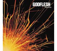 Godflesh - Hymns (180 Gr. Vinyl Silver & Black Marbled Gatefold Sleeve Limited Edt.) [Vinilo]