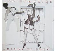 Godley & Creme - Godley & Creme - Birds Of Prey - Polydor - 2383 653