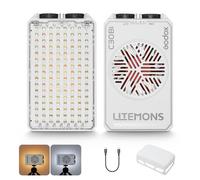 Godox LITEMONS C30Bi Bi-Color Luz LED de Video, CRI 94+ TLCI 96+ 2800K-6500K Regulable, 30W Luz de Cámara Portátil, 3350mAh Recargable LED Iluminación de Fotografía para Vlog, Youtube, TikTok Livestre