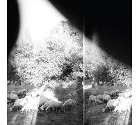 Godspeed You Black Emperor - Asunder, Sweet And Other Distress