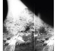Godspeed You Black Emperor - Asunder, Sweet And Other Distress [Vinilo]