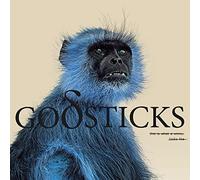 Godsticks - This Is What A Winner Looks Like [Vinilo]
